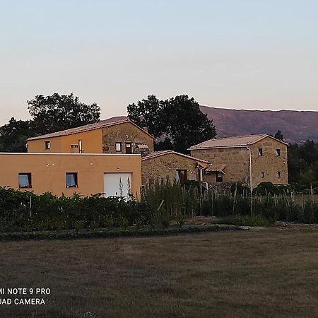 Gasthaus Quinta Damigo Seia Exterior foto