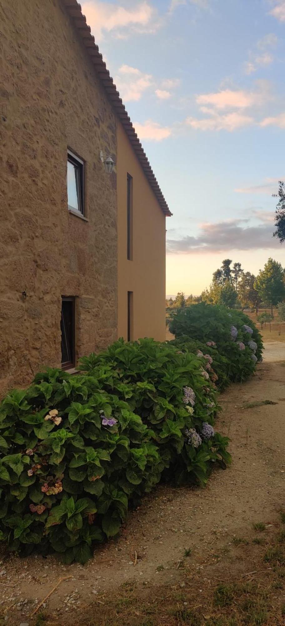 Gasthaus Quinta Damigo Seia Exterior foto